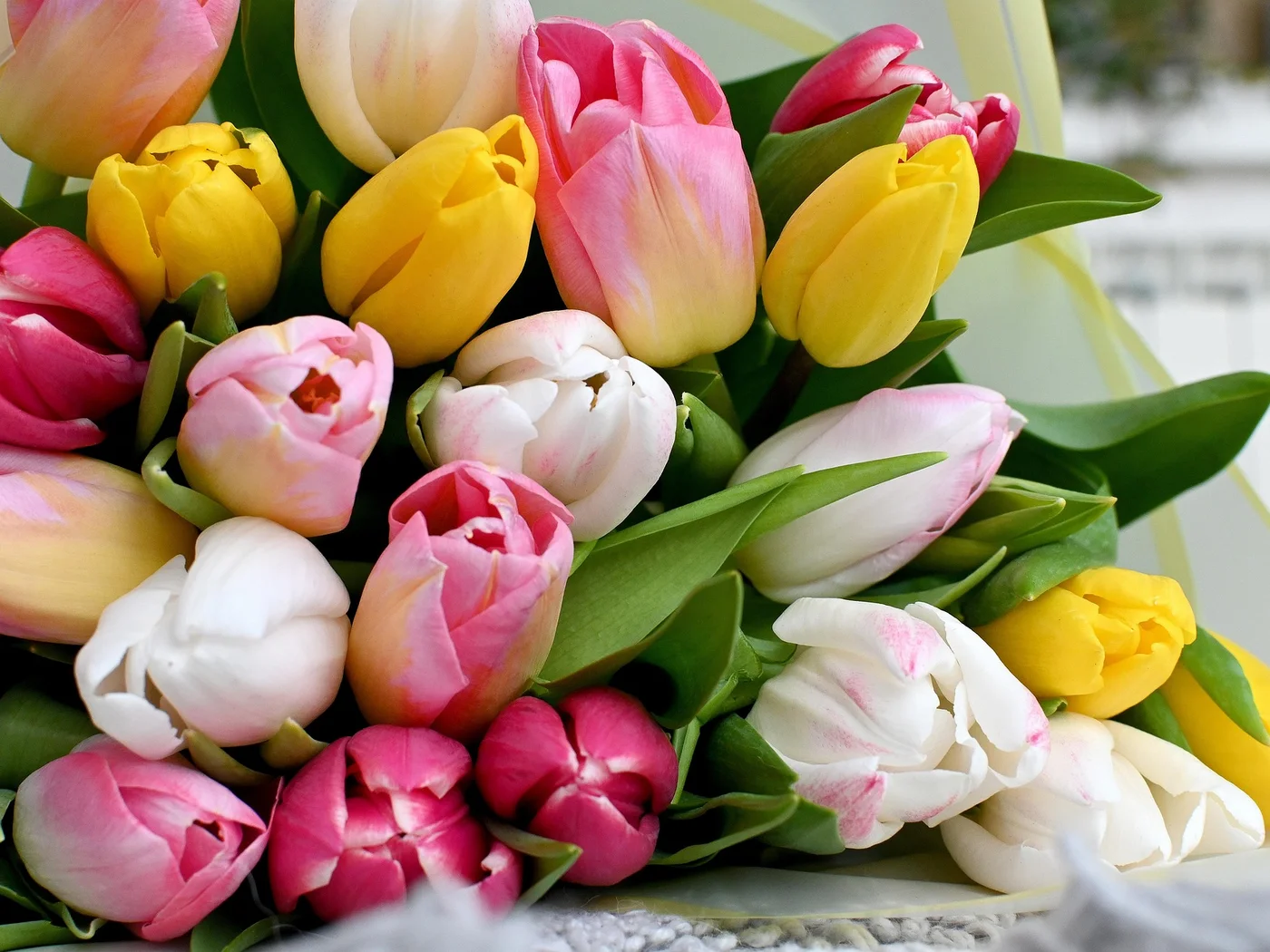 Einfach köstlich: der kulinarische Kalender im Cervus Tulpen