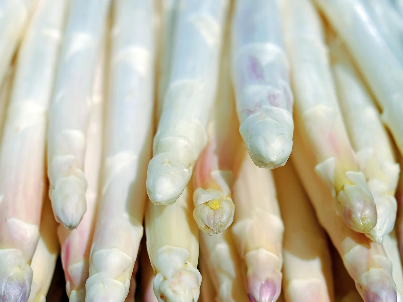 Einfach köstlich: der kulinarische Kalender im Cervus Spargel