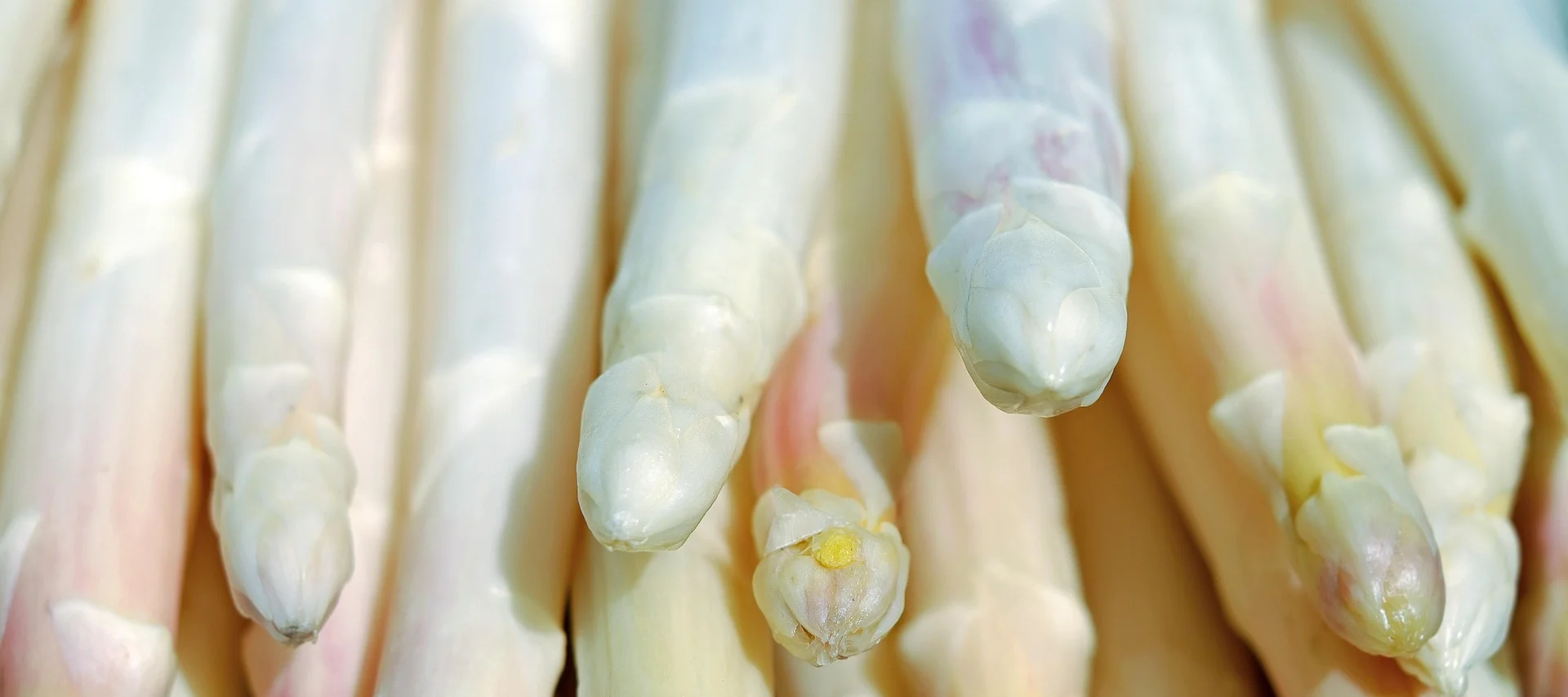 Regional. Frisch. Unwiderstehlich. Spargel