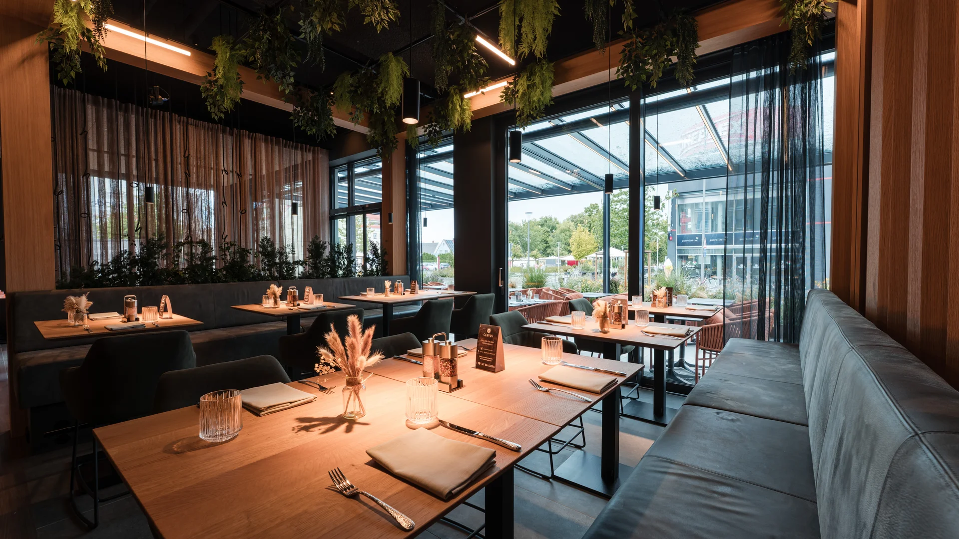 Modern restaurant with wooden tables, comfortable seating, and hanging green plants